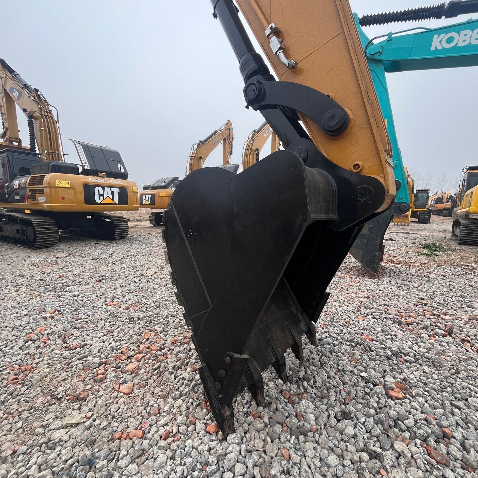 e0632379f3ce9a1bd001e0cf3a7c8a65